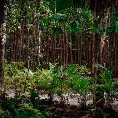 Hotel Lunita Jungle Experience à Puerto Morelos Extérieur photo