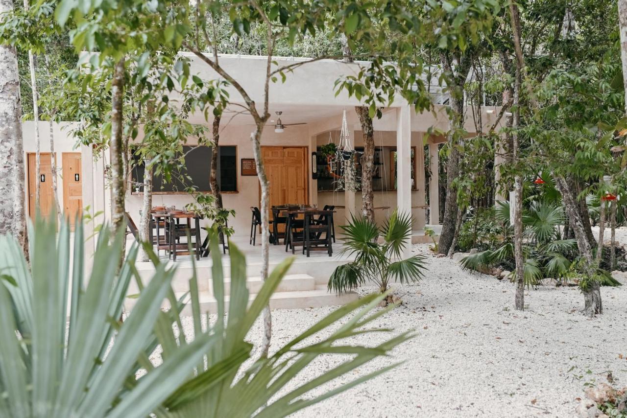 Hotel Lunita Jungle Experience à Puerto Morelos Extérieur photo