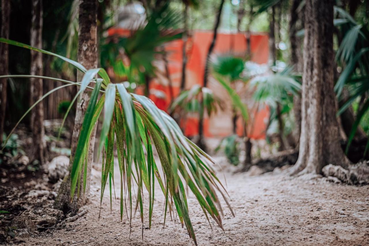 Hotel Lunita Jungle Experience à Puerto Morelos Extérieur photo