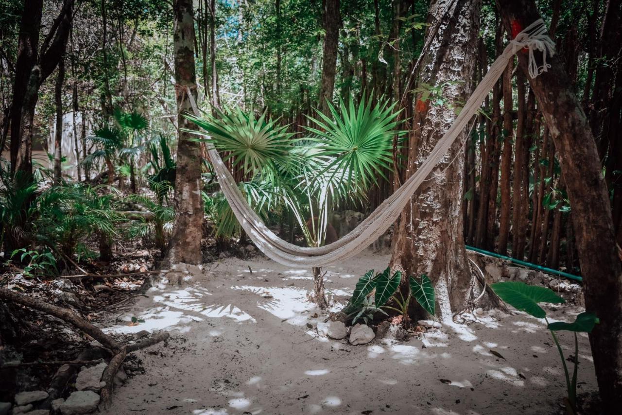 Hotel Lunita Jungle Experience à Puerto Morelos Extérieur photo