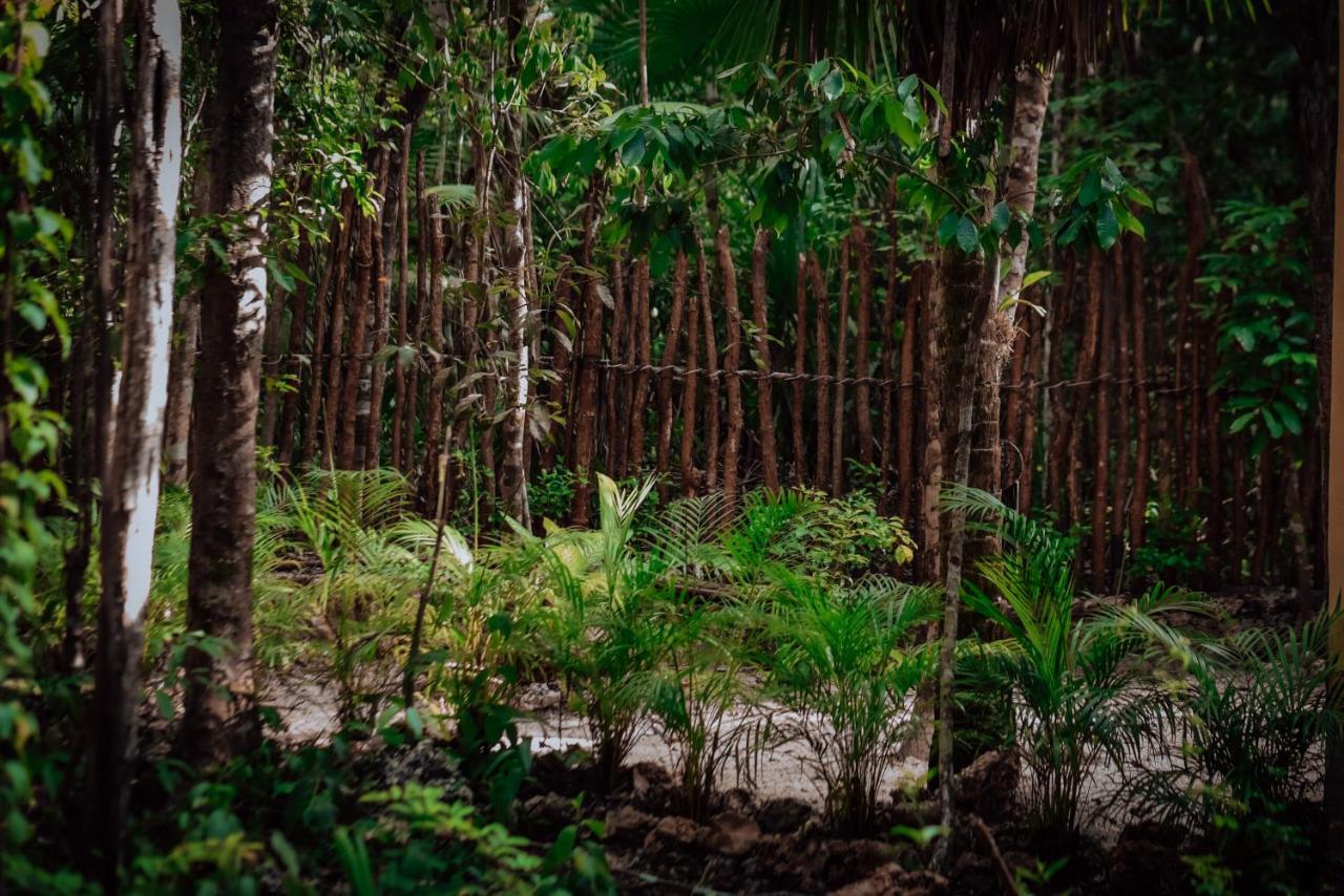 Hotel Lunita Jungle Experience à Puerto Morelos Extérieur photo