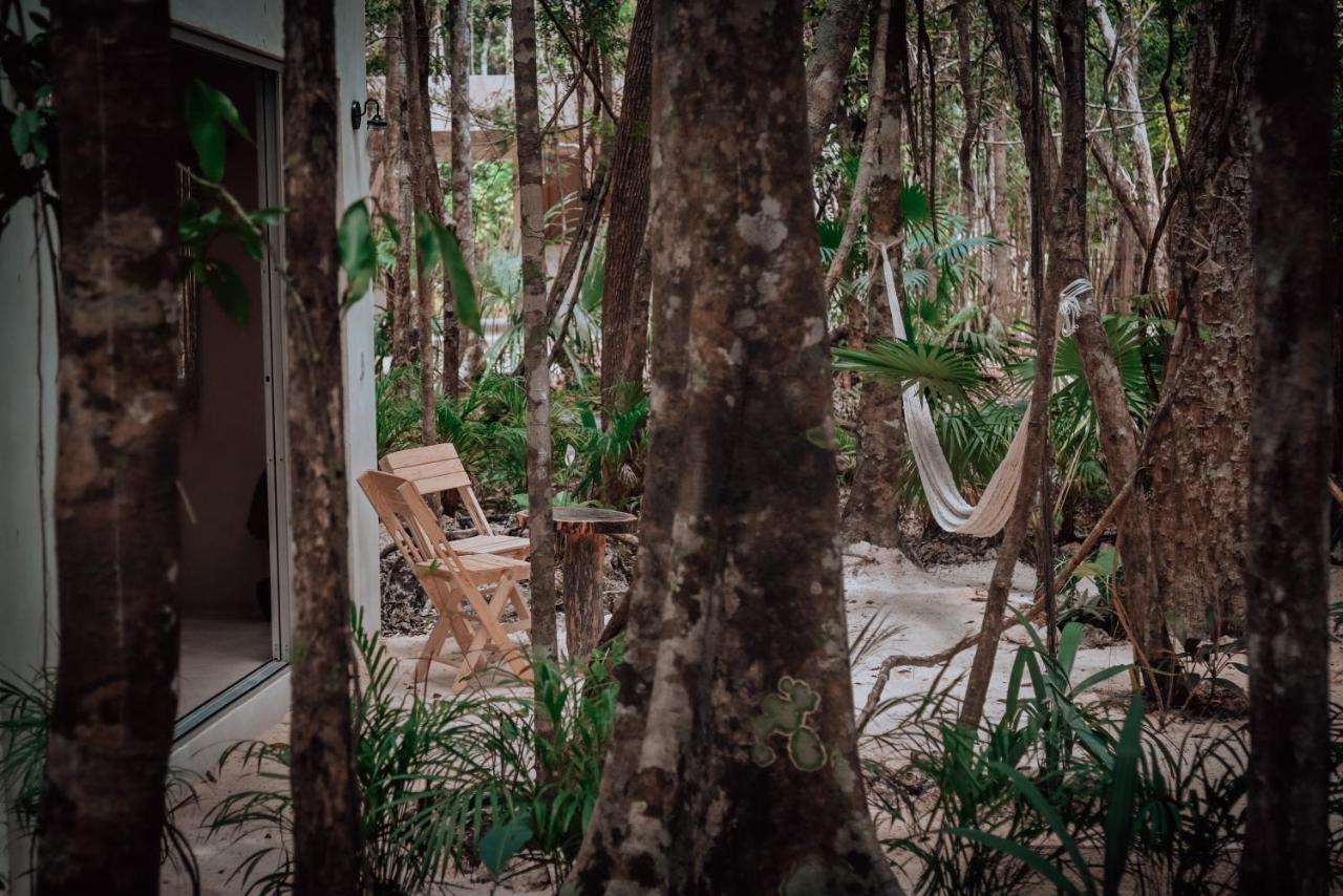 Hotel Lunita Jungle Experience à Puerto Morelos Extérieur photo